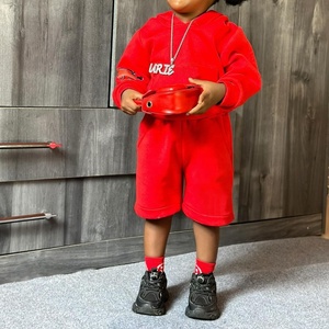 OEM Ropa para Niños Vendedor Otoño Logotipo Personalizado Sudadera Con Capucha Y Pantalones Cortos Niños Niña Ropa Conjunto - Product Image 2