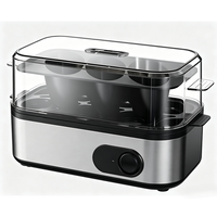 Cuiseur à œufs électrique en acier inoxydable à affichage numérique, cuiseur à riz automatique à quartz, cuiseur vapeur à œufs électrique domestique individuel