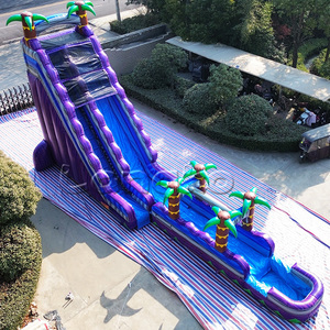Toboggans aquatiques gonflables <span class=keywords><strong>de</strong></span> qualité commerciale, couleur marbre violet, palmier tropical, toboggan aquatique gonflable <span class=keywords><strong>géant</strong></span> pour adultes - Product Image 6