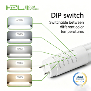 Type B-T8 Nord-Américain 600mm 7W 230V50Hz LED <span class=keywords><strong>Tube</strong></span> compatible connexion mono/bi-extrémité, Protection Fuite Courant CE - Product Image 6