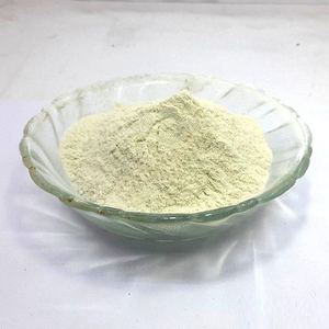 Poudre d'enzyme de bromélaïne 2400 GDU, enzyme végétale haute puissance pour une hydrolyse efficace des protéines et un soutien digestif - Product Image 3