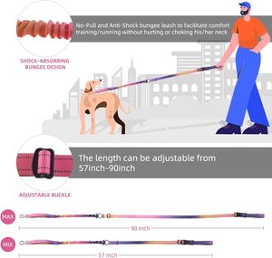 สายจูงสุนัขแบบแฮนด์ฟรีสำหรับสุนัขขนาดกลางถึงใหญ่ ทนทาน ไม่ดึง สายจูงแบบยืดหยุ่นสำหรับวิ่งและฝึกสุนัข - Product Image 2