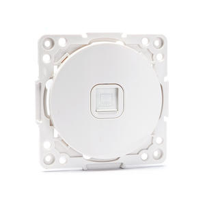 Connecteur Internet 1 Voie, Argenté, Idéal pour les Adaptateurs et Extendeurs de Réseau dans les Systèmes Européens. - Product Image 1