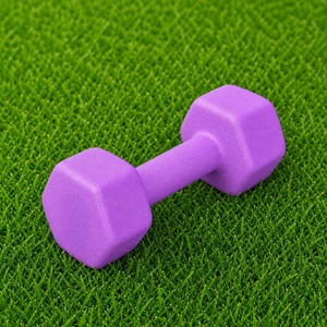 Hot Sales Fitness Equipment Home <b>Hex</b> Neoprene <b>Dumbbell</b> <b>Set</b> for Women and Kids - Product Image 4