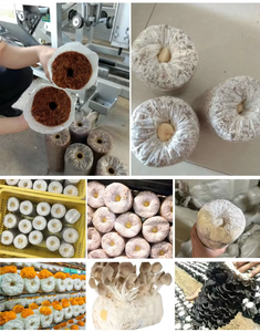 מכונת בייגידור פטריות חצי אוטומטית עם פונקצית החדרה מקל - Product Image 5