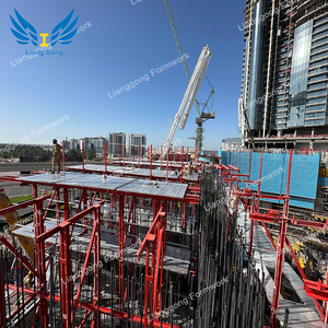 Lianggong thiết kế hiện đại thép tự lan can ván khuôn bê tông tự động cho xây dựng nhà cao tầng - Product Image 3