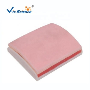 Modèle anatomique Corps humain Mannequin avancé PVC Matériau écologique pour suture musculaire de la peau Exercice d'entraînement Vic Science - Product Image 1