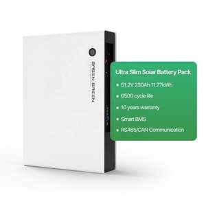 بطارية باسن الخضراء فائقة النحافة 51.2 فولت 10 كيلوواط ساعة ليثيوم فوسفات الحديد لتخزين الطاقة الشمسية المنزلية 48 فولت 230 أمبير ساعة حزمة بطارية ليثيوم أيون نحيفة - Product Image 1