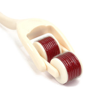 Produits SM pour femmes : Rouleaux d'aiguilles pour massage cutané, outils d'entraînement et de stimulation, accessoires romantiques pour une sensation érotique