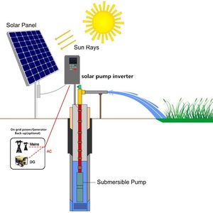 Système de pompe solaire d'irrigation agricole à tête de 700m Max, pompe submersible à eau solaire AC DC <span class=keywords><strong>pour</strong></span> <span class=keywords><strong>puits</strong></span> de forage profond - Product Image 6