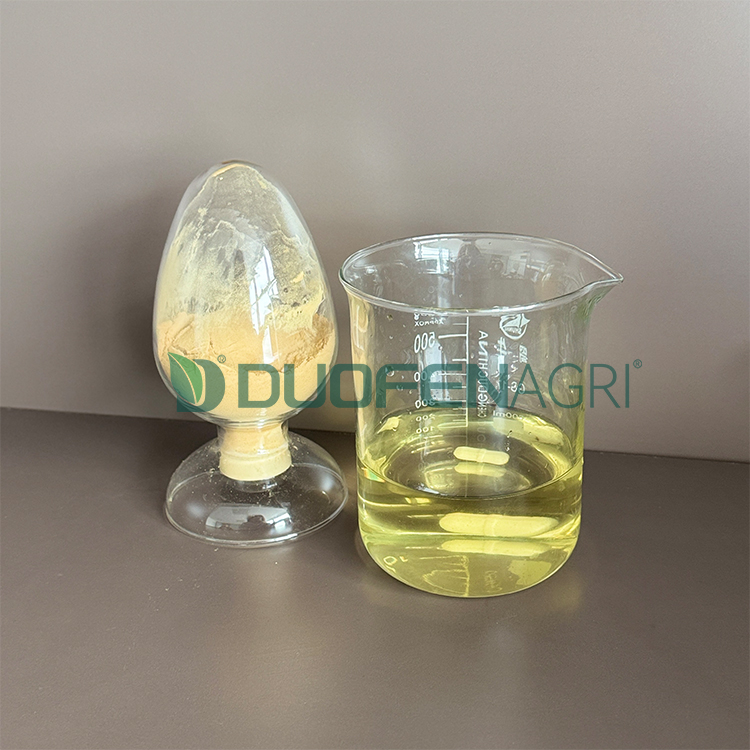 Wholesale Organic Seaweed Fertilizer Powder OEM Supplier image 2