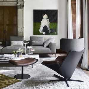 2022 New Fiber Glass Frame Stainless Base Strong Stable Reclining <strong>Chair</strong> Casual Home Furniture Leisure <strong>Chair</strong> - Product Image 6