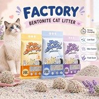Litière pour chat écologique à agglomération rapide, 99 % sans poussière, contrôle des odeurs, facile à ramasser, directement du fabricant, pour animaleries