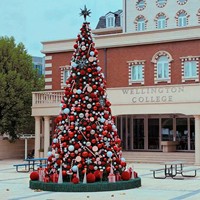 Décoration de Noël imperméable pour parc, place publique, jardin, centre commercial, arbre de Noël géant illuminé par LED de 5/6/8/10 mètres, grande taille