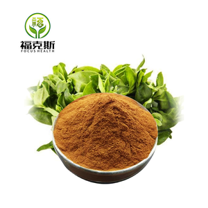 Extracto de Andrographis <span class=keywords><strong>Paniculata</strong></span> en Polvo, Hierba de Andrographis <span class=keywords><strong>Paniculata</strong></span>, Producto Fresco de Alta Calidad, Gran Stock, Suministro de Fábrica - Product Image 4