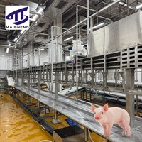 Chaîne de production d'abattage de porcs clé en main haute productivité, ligne d'abattage en acier motorisée pour viande de porc, usine d'abattage de boucherie, marque Maisheng