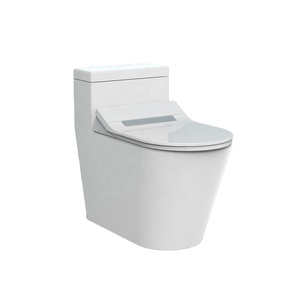 New Trend One Piece Intelligent Smart <strong>Seat</strong> Cover Electric Separate <strong>Toilet</strong> <strong>Bidet</strong> - Product Image 1