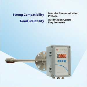 Analizzatore di Ossigeno nei Gas di Combustione Runlai Y100 a Risposta Rapida, Rilevatore di Ossigeno O2 Personalizzabile - Product Image 5