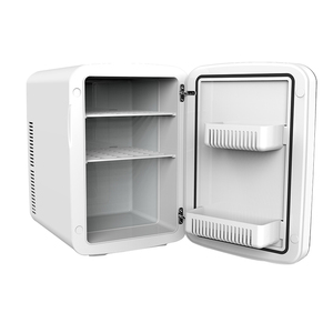 Refroidisseur thermo<span class=keywords><strong>électrique</strong></span> Portable AC/DC, vente en gros d'usine, pour les soins de la peau, les boissons, la maison, le bureau et la <span class=keywords><strong>voiture</strong></span> - Product Image 1