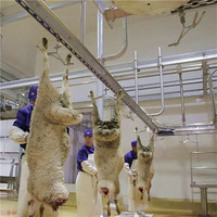 Machine d'abattoir de mouton rituel pour ligne de processus de viande d'abattoir de boucher d'agneau
