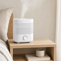 Humidificateur ultrasonique en plastique 2L, diffuseur d'arômes silencieux à nano-brume 2000ml avec protection contre la marche à sec pour usage domestique