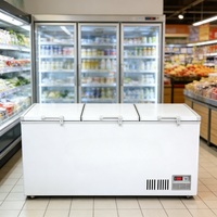 Congélateur coffre à grande capacité pour supermarché, congélateur pour aliments congelés, poisson, crème glacée, congélateur coffre à double porte, congélateur commercial