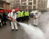 Machine de nébulisation thermique de lutte antiparasitaire de moustique de brumisateur en métal portatif pour l'agriculture
