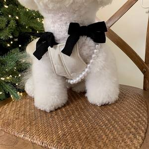 Pet Princesse Coton Jupe Teddy Bibi Ours Poméranie Marzis Chat Chat Chien Vêtements Automne/Hiver Vêtements - Product Image 6