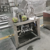 Goede Kwaliteit Tender Kokosnoot Half Snijmachine Voor Fruitdrank Winkel Automatische Kokosnoot Splitsmachine