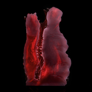 LK-7308 Masturbatore a canale singolo a forma di testa di drago infuocato per uomo, per un'esperienza di sottomissione intensa, stimolatore in silicone per allenamento del pene, sex doll - Product Image 5