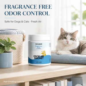 Absorbeur d'odeurs pour animaux de compagnie à base de plantes, écologique et naturel, gel désodorisant sans parfum, éliminateur d'odeurs pour chiens, chats, maison, rafraîchisseur d'air - Product Image 1