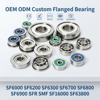 Rodamientos de Bolas con Brida de Alta Precisión Serie F6000 F6200 F6300 F6700 F6800 F6900 FR MF F16000 F63800