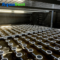 Diffuseur à bulles fines de 9 pouces avec membrane EPDM pour le traitement des eaux usées, fabricant de diffuseurs à disque pour l'aération