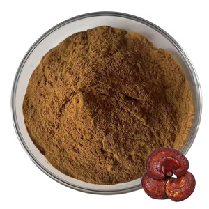 Hongda Mantar Tozu Organik Karışık Mantar Aslan Yelesi Reishi Cordyceps <span class=keywords><strong>Chaga</strong></span> Bitkisel Mantar Ekstresi Tozu - Product Image 1