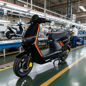 El nuevo comercio exterior es exclusivamente para la bicicleta eléctrica pequeña con batería de 48V Fábrica de automóviles al por mayor - Product Image 1