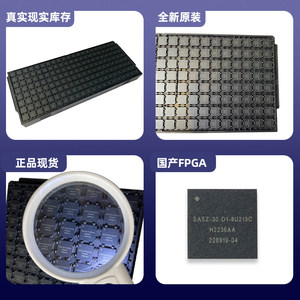 Xi'an Intelligence Silicon Seal Serie 5000 SA5Z-30-D1-8U213C, un FPGA Nacional con Capacidades SoC M639 - Product Image 3