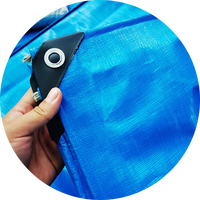 Bâche en PE ou Rouleau de Bâches pour Bateau/Camion/Toile – Couverture Extérieure – Vente Directe Usine – Lona Imperméable – Autres Tissus Tissés