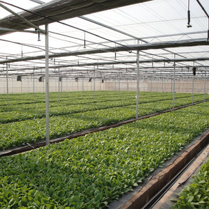 Invernadero Agrícola de Vidrio de Gran Tamaño y Múltiples Vetas, Diseño Prefabricado, Fácil Operación para Granjas, Viveros y Agricultura Urbana - Product Image 2