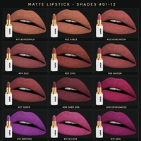 Rouge à lèvres mat végétalien, anti-transfert, waterproof, longue tenue, résistant aux bavures, tube personnalisé, logo personnalisé, OEM ODM
