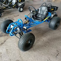 Kart à pédales tout-terrain à transmission automatique, pneus de 8 pouces, 270cc, refroidissement par air, suspension intégrale, quatre roues, buggy des dunes