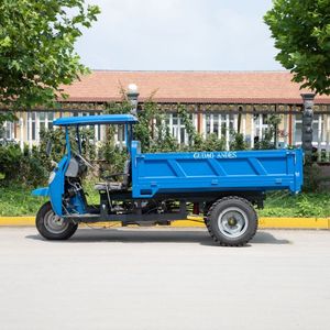DIESEL ba bánh cho hàng hóa nặng mở 3-Wheel xe máy với nhiên liệu động cơ cơ giới lái xe - Product Image 3