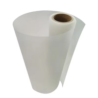 Prix d'usine, rouleau de film PET DTF double mat pour transfert thermique, taille 30 cm, 33 cm, 45 cm, pour t-shirts