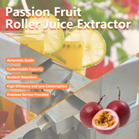 Passievruchtensapcentrifuge met capaciteit 300-500 kg, nieuw ontwerp, dubbele roller, industriële citroensapmachine