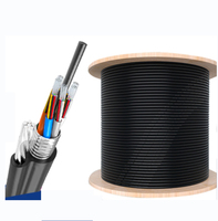 Durable 4-144 Core GYFTC8S Cable de fibra óptica para exteriores para aplicaciones de telecomunicaciones Figura 8 Cable