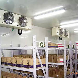 Biaya rendah jamur tumbuh ruang tamu ruang Freezer ruang dingin penyimpanan khusus penggunaan ruang dingin jamur tumbuh peralatan - Product Image 4