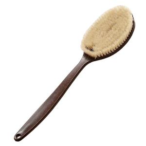 Brosse de bain à poils, brosse corporelle à long manche pour le dos, brosse sèche domestique douce pour le dos - Product Image 5