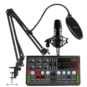 Hayner-Seek Vendita Calda In Diretta Streaming Audio Kit di Interfaccia Studio Microfono A Condensatore e la Scheda Audio USB