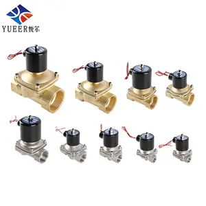 Stainless Solenoid Valve 2W Air Water Solenoid Valve Stainless Steel Brass 2 Way 1/4"-2 1/2" Normally Closed DC12V 24V AC220V