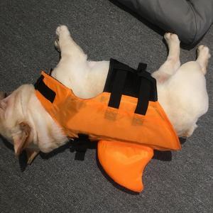 Chaleco salvavidas para bulldog francés, diseño de tiburón azul, chaleco de natación para perros, equipo de seguridad acuática - Product Image 4