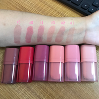 Teinte à lèvres liquide en marque blanche, vente en gros, teinte à lèvres waterproof, gloss brillant, maquillage hydratant pour les lèvres, fabricant OEM